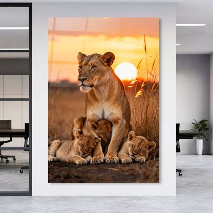 Löwenfamilie im Sonnenuntergang