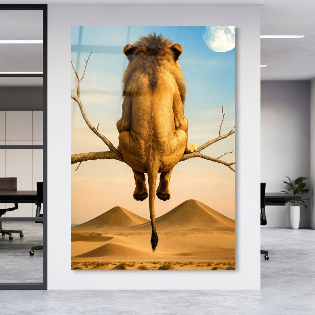 Löwe über der Wüste