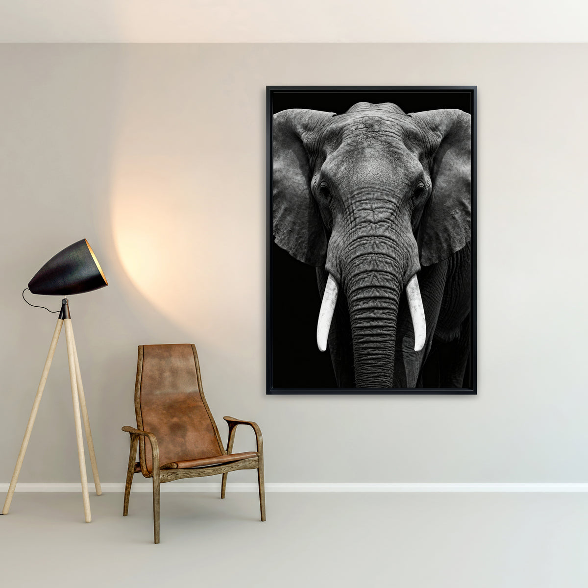 Elefant in Schwarz-Weiß