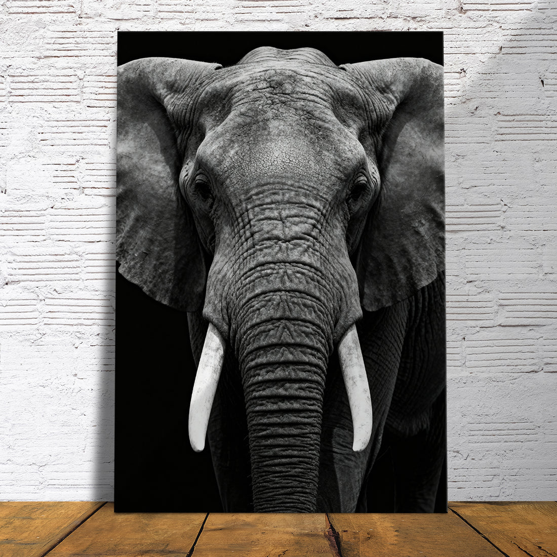 Elefant in Schwarz-Weiß