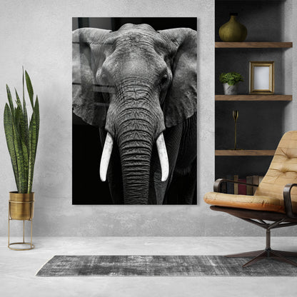 Elefant in Schwarz-Weiß