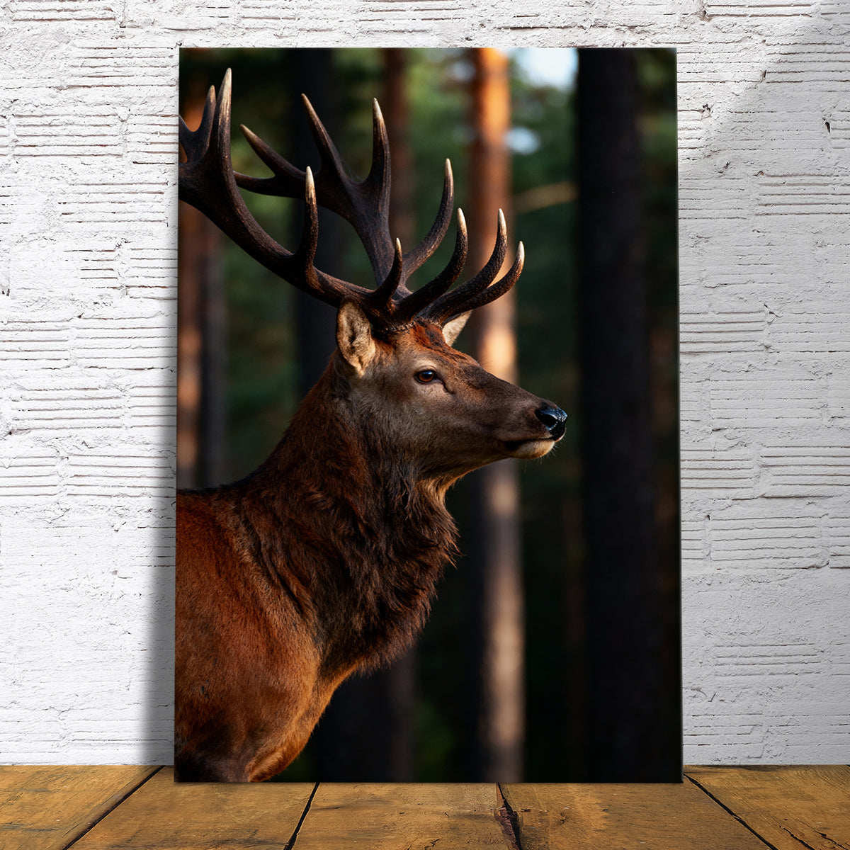 Majestätischer Hirsch im Wald