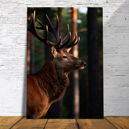 Majestätischer Hirsch im Wald