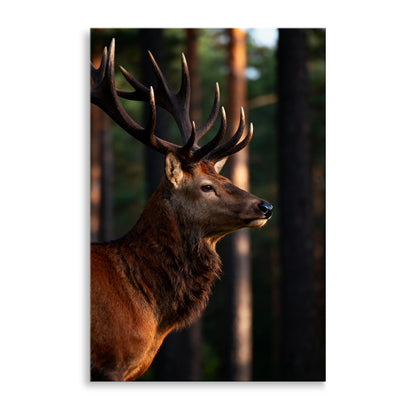 Majestätischer Hirsch im Wald